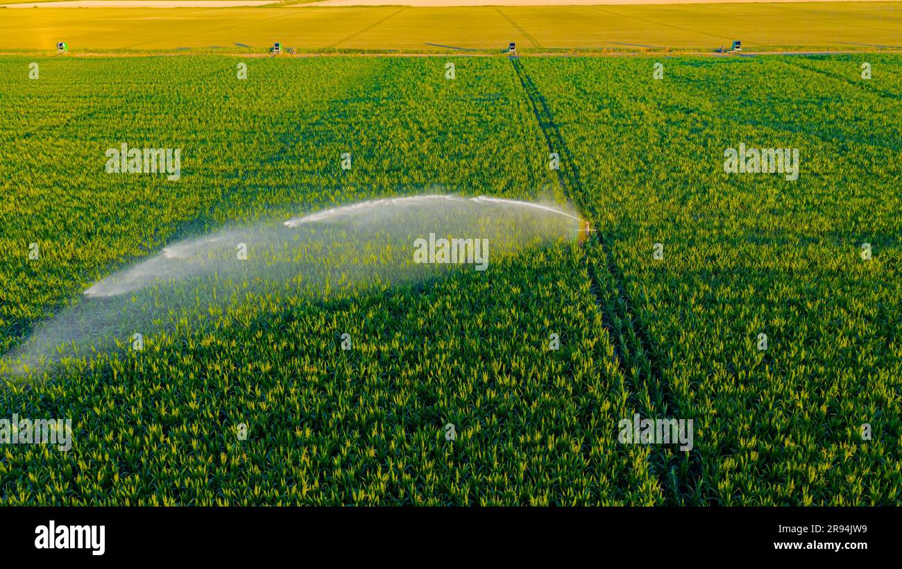 Above view of irrigation system, water jet rain guns sprinklers, on