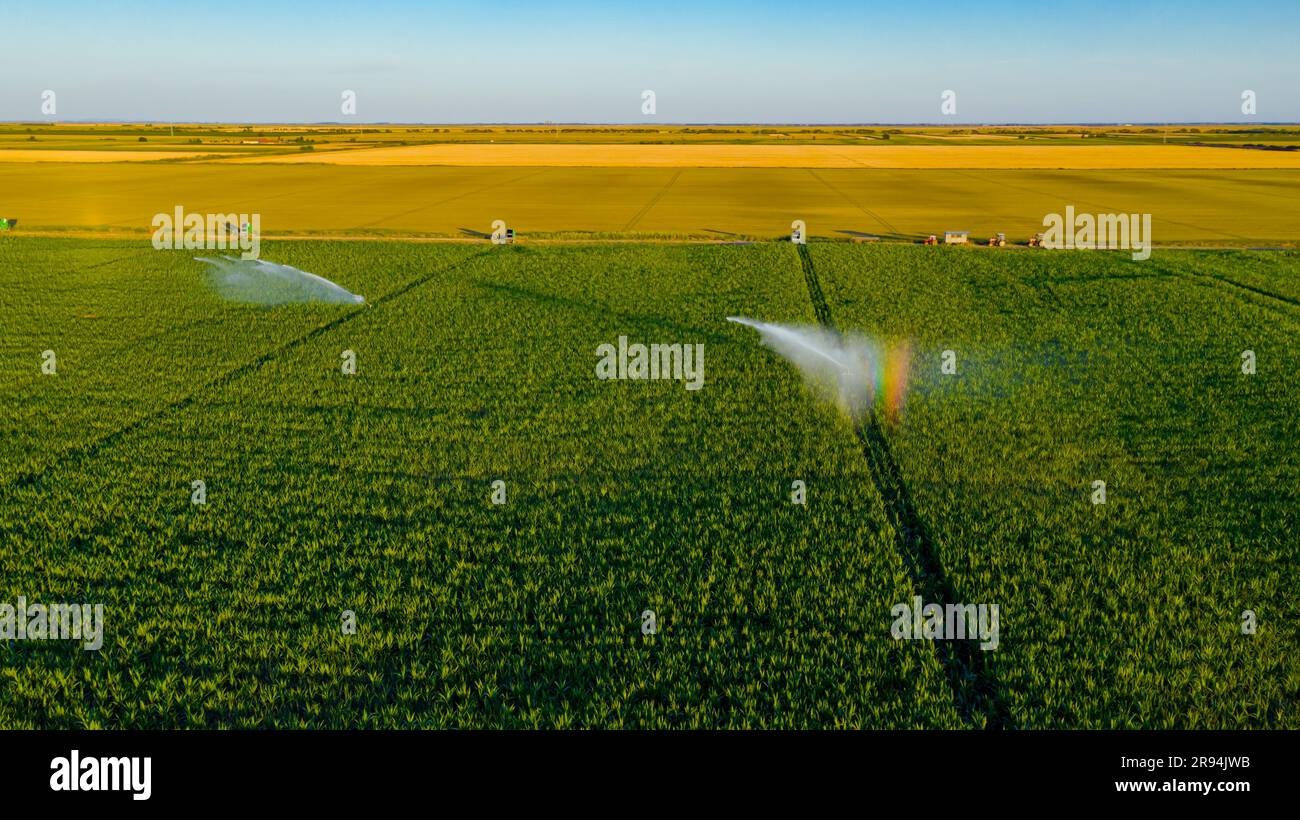 Above view of irrigation system, water jet rain guns sprinklers, on
