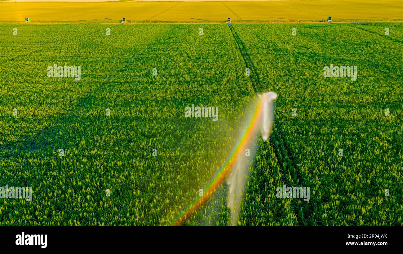 Above view of irrigation system, water jet rain guns sprinklers, on