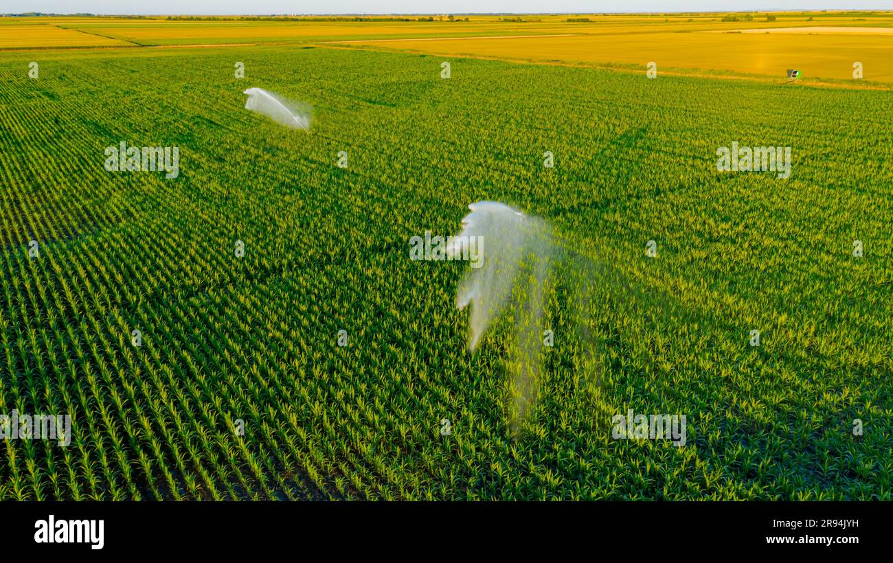 Above view of irrigation system, water jet rain guns sprinklers, on