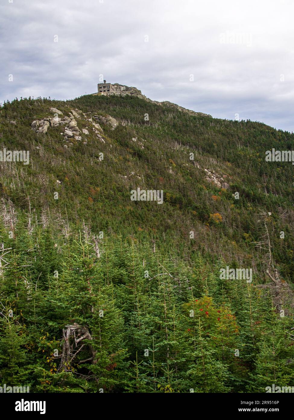From the pine-covered base, the top station of Whiteface Mountain is seen in the distance. Stock Photo