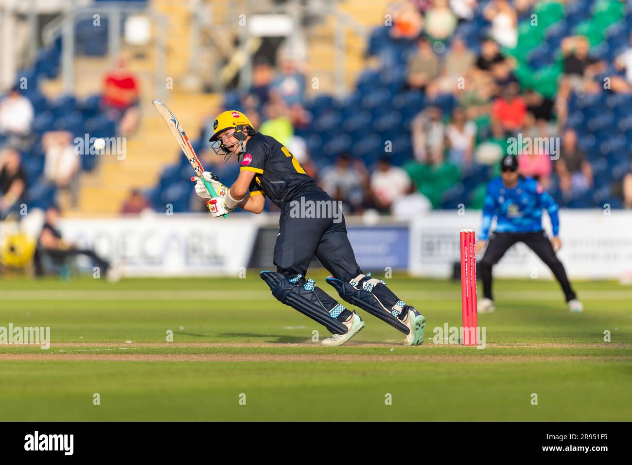 23rd June 2023; Sophia Gardens, Cardiff, Wales: Vitality Blast T20 League Cricket, Glamorgan versus Sussex; Glamorgan's Will Smale in batting action. Stock Photo