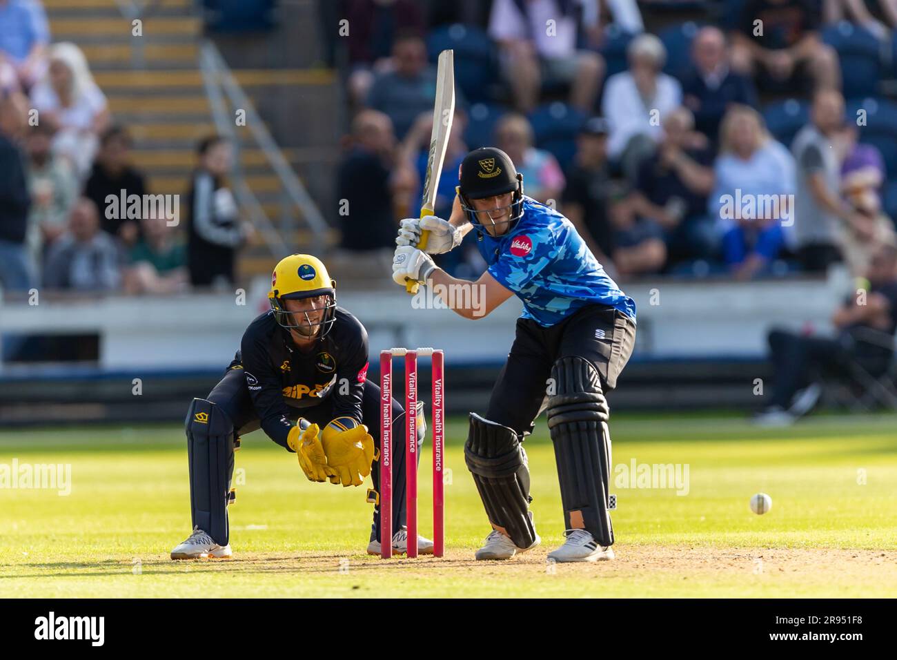 23rd June 2023; Sophia Gardens, Cardiff, Wales: Vitality Blast T20 League Cricket, Glamorgan versus Sussex; Sussex's Michael Burgess in batting action. Stock Photo