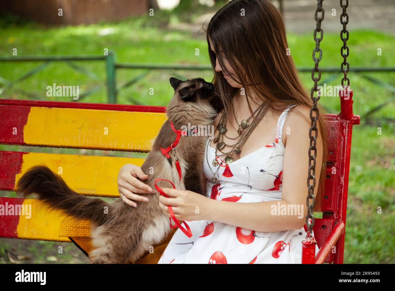 Young woman hugging an affectionate cat of Neva Masquerade breed in a park. Affectionate cat showing trust and love to its owner - Stock Image
