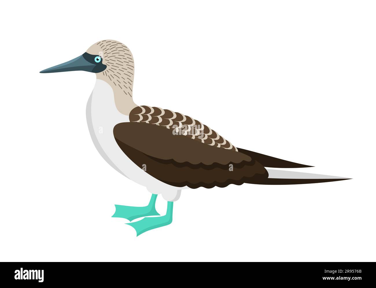 Blue footed booby bird isolated on a white background. Vector illustration in flat style Stock Vector