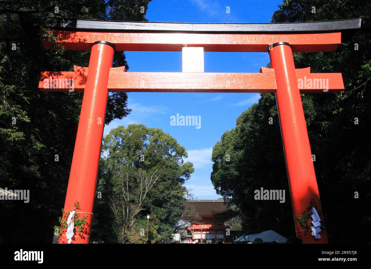 Shinto shrine new year hi-res stock photography and images - Alamy
