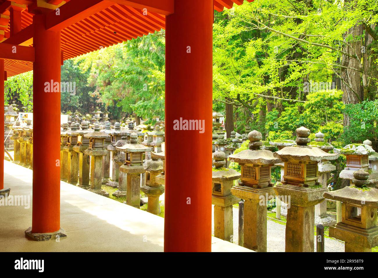 Kasuga-taisha Shrine in fresh green Stock Photo