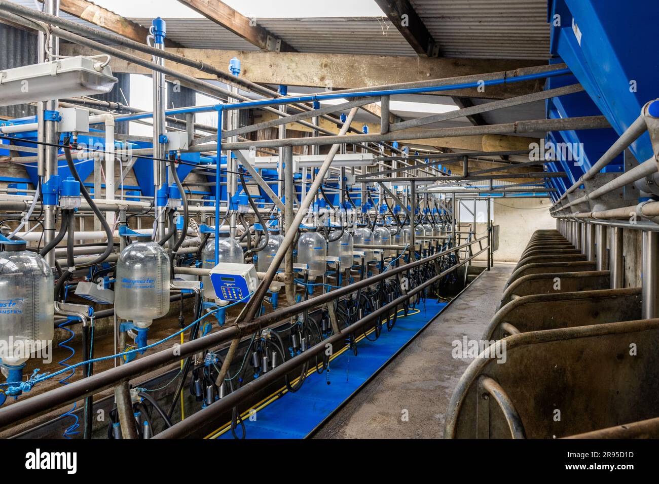 Milking parlour on a dairy farm in West Cork, Ireland. Stock Photo