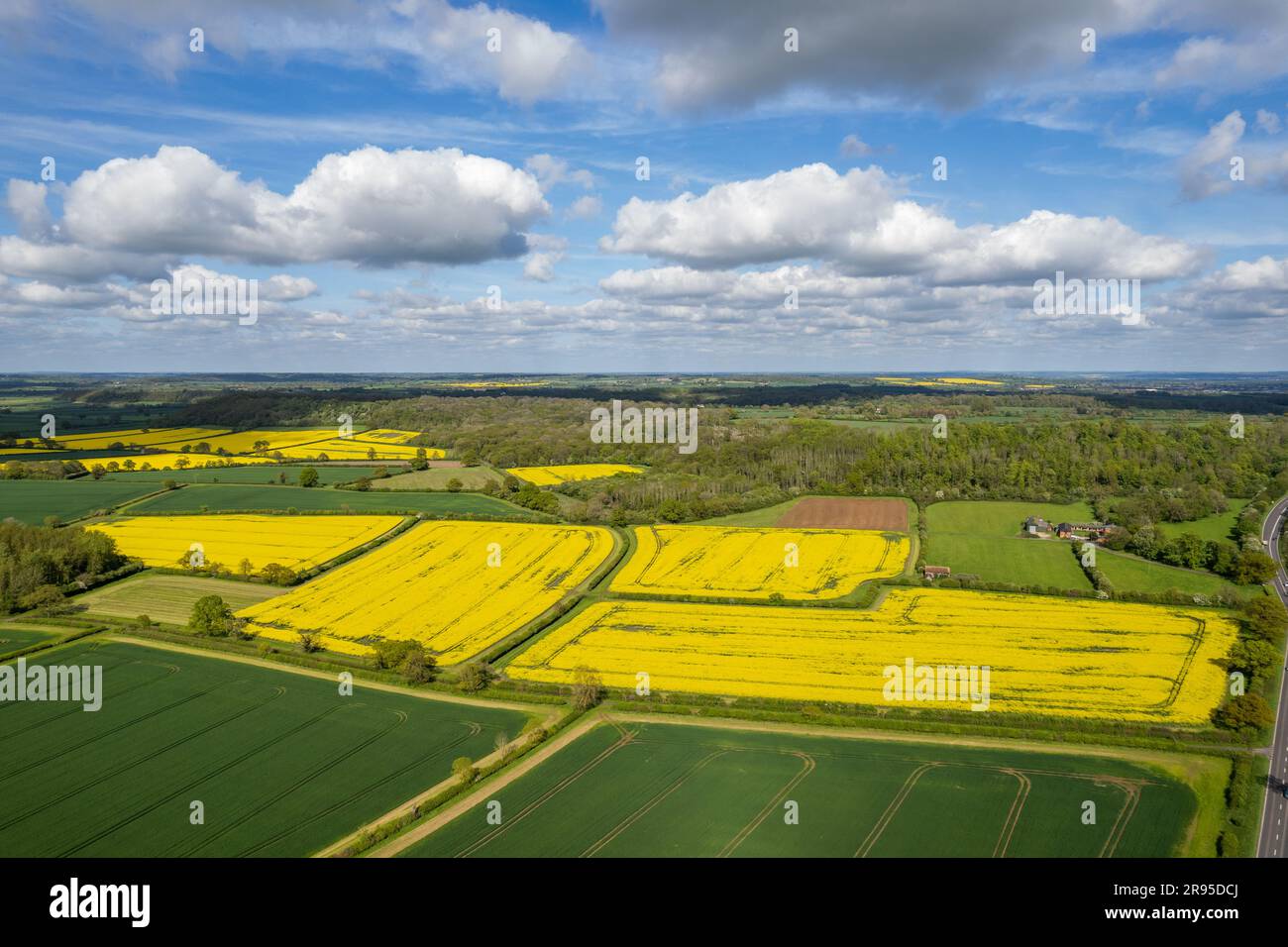 Aerial view of fields of rape in Warwickshire UK. Stock Photo