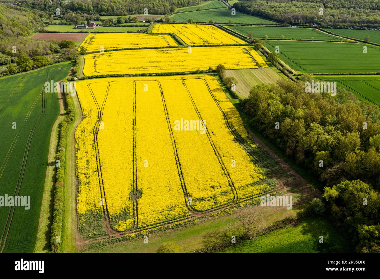 Aerial view of fields of rape in Warwickshire UK. Stock Photo
