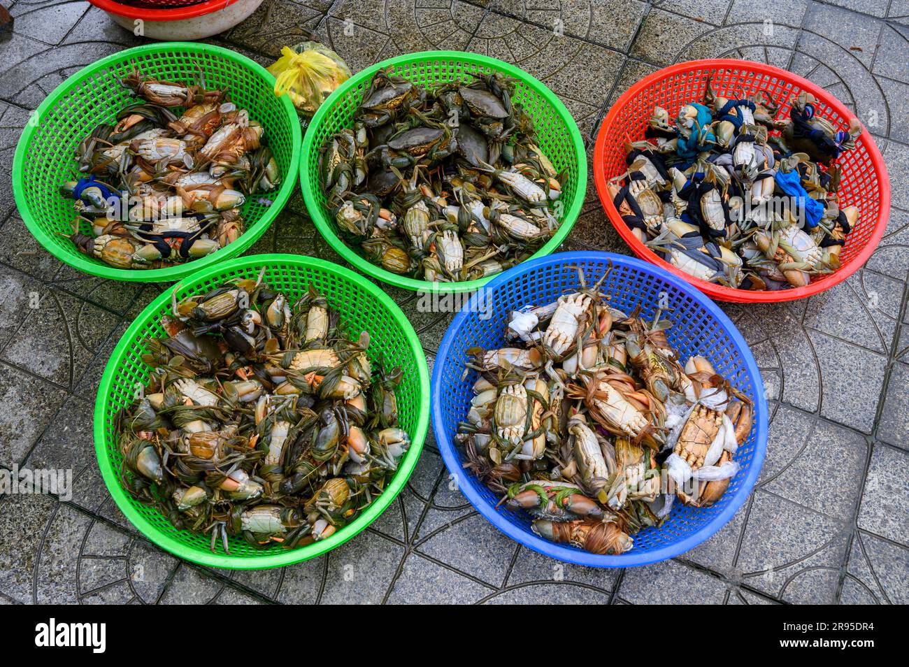 Plastic baskets containing live crabs at Hoi An Market in old town Hoi An, Vietnam. Stock Photo