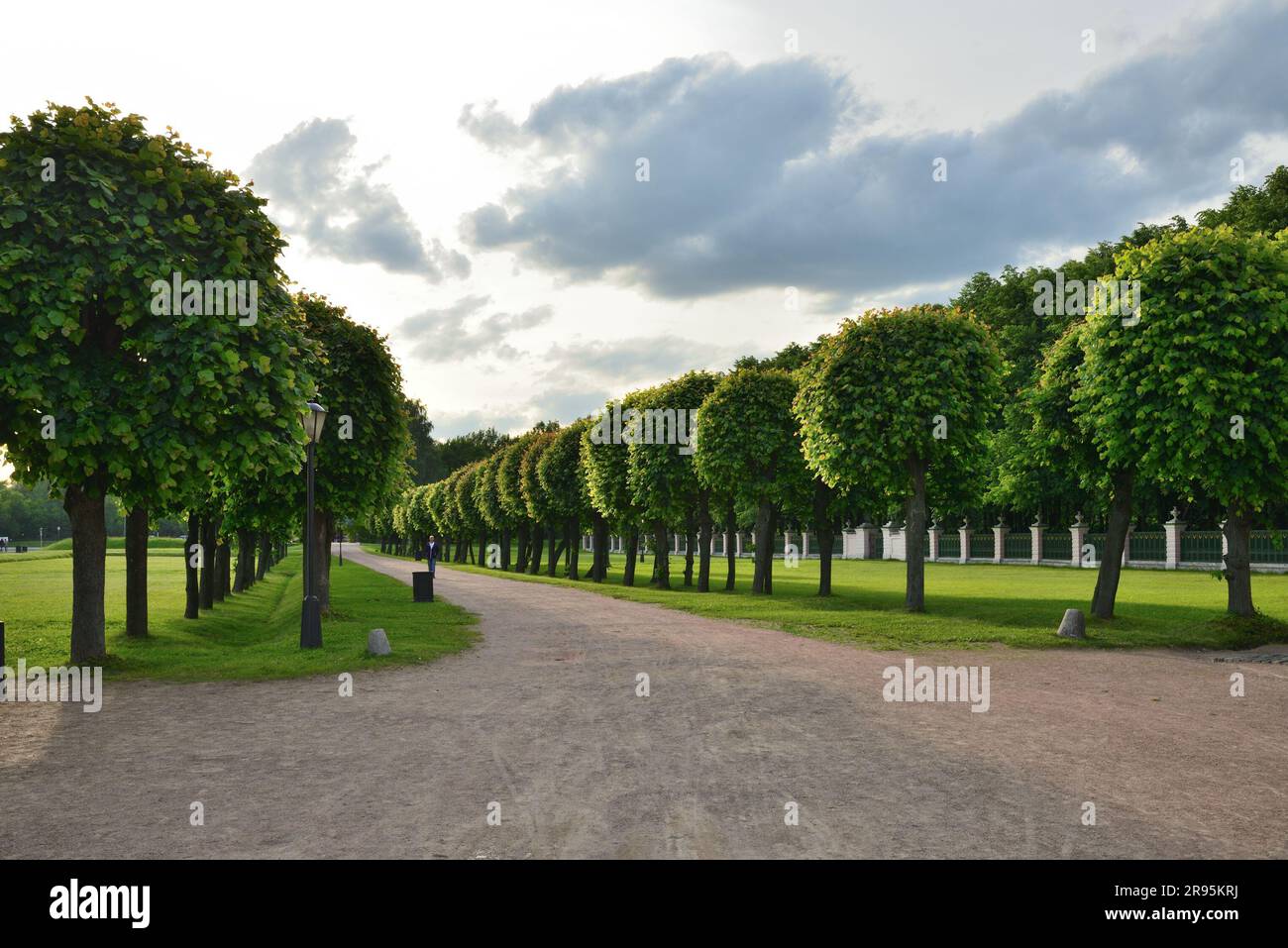 Moscow, Russia - June 6, 2016. Linden alley in an estate Kuskovo Stock Photo