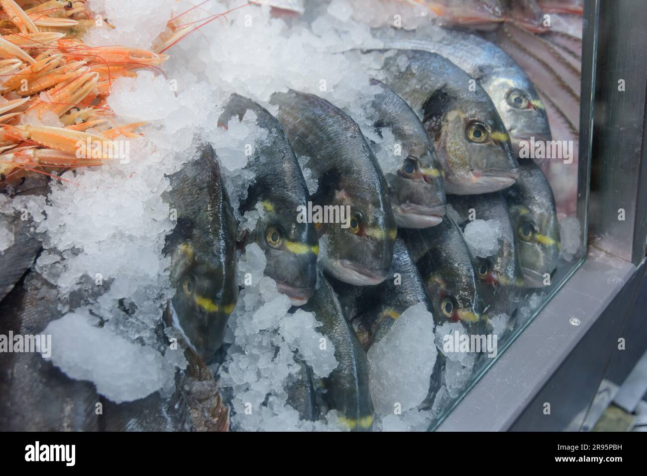 Fish market copenhagen denmark hi-res stock photography and images 