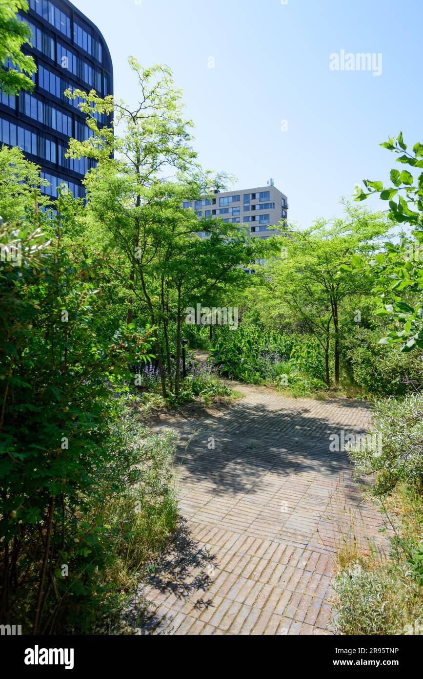 Kopenhagen, Stadtentwicklungsgebiet Ørestad // Copenhagen, City ...
