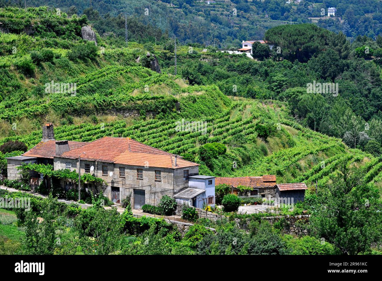 Farm house and building with terraced crops in hillside near Santa Maria de Sardoura, northern Portugal Stock Photo