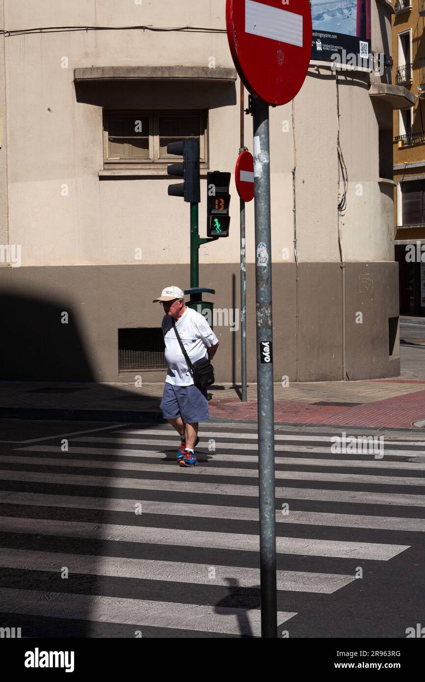 Premium Vector  School kids with backpack walking crossing road near  pedestrian traffic light on zebra cross