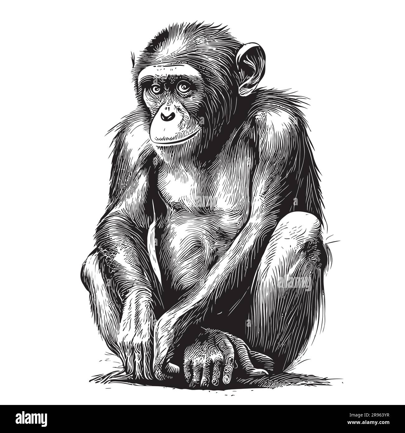 Monkey sitting sketch hand drawn in doodle style illustration Stock Vector