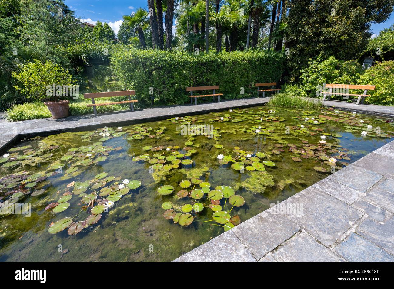 Lily pond in the Botanical Gardens of Villa Taranto, Verbania, Lake Maggiore, Piedmont, Italy. Stock Photo