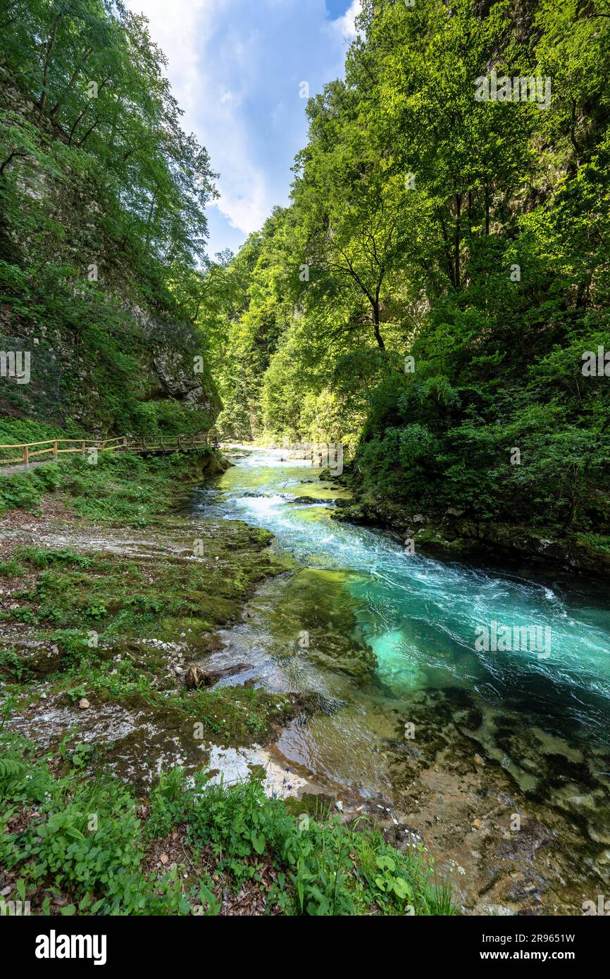 Vintgar Gorge's enchanting beauty: a path by turquoise waters, sunlight casting mesmerizing shadows. Serene surroundings, exploration fantasy Stock Photo