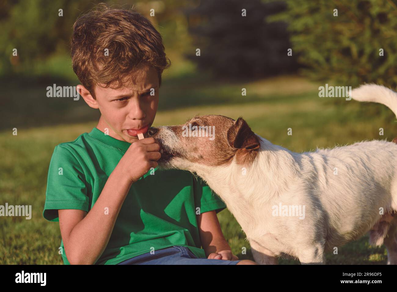 On Summer day kid is eating homemade fruit popsicle on stick and dog begging to share a bite Stock Photo