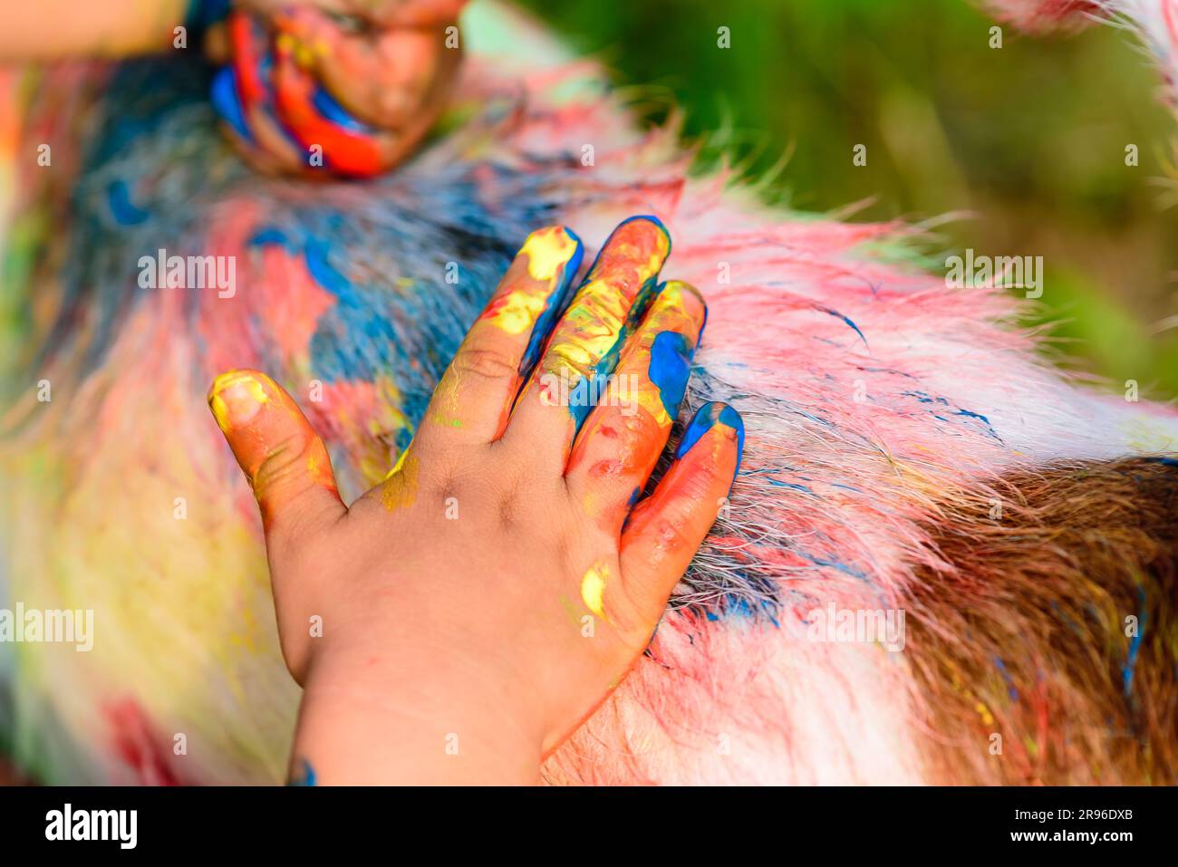Child painting on a dog back with colorful finger paint Stock Photo Alamy
