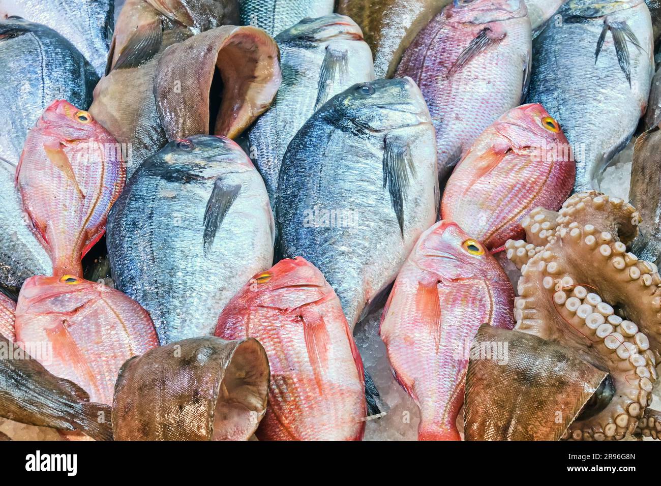 Fresh fish and squid for sale at a market Stock Photo - Alamy
