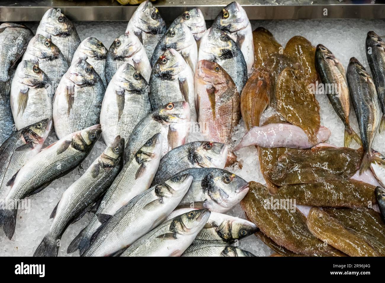 Fresh fish for sale at a market in Porto, Portugal Stock Photo
