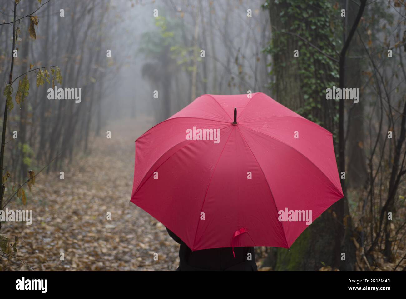Woman walking in the forest with a red umbrella Stock Photo - Alamy