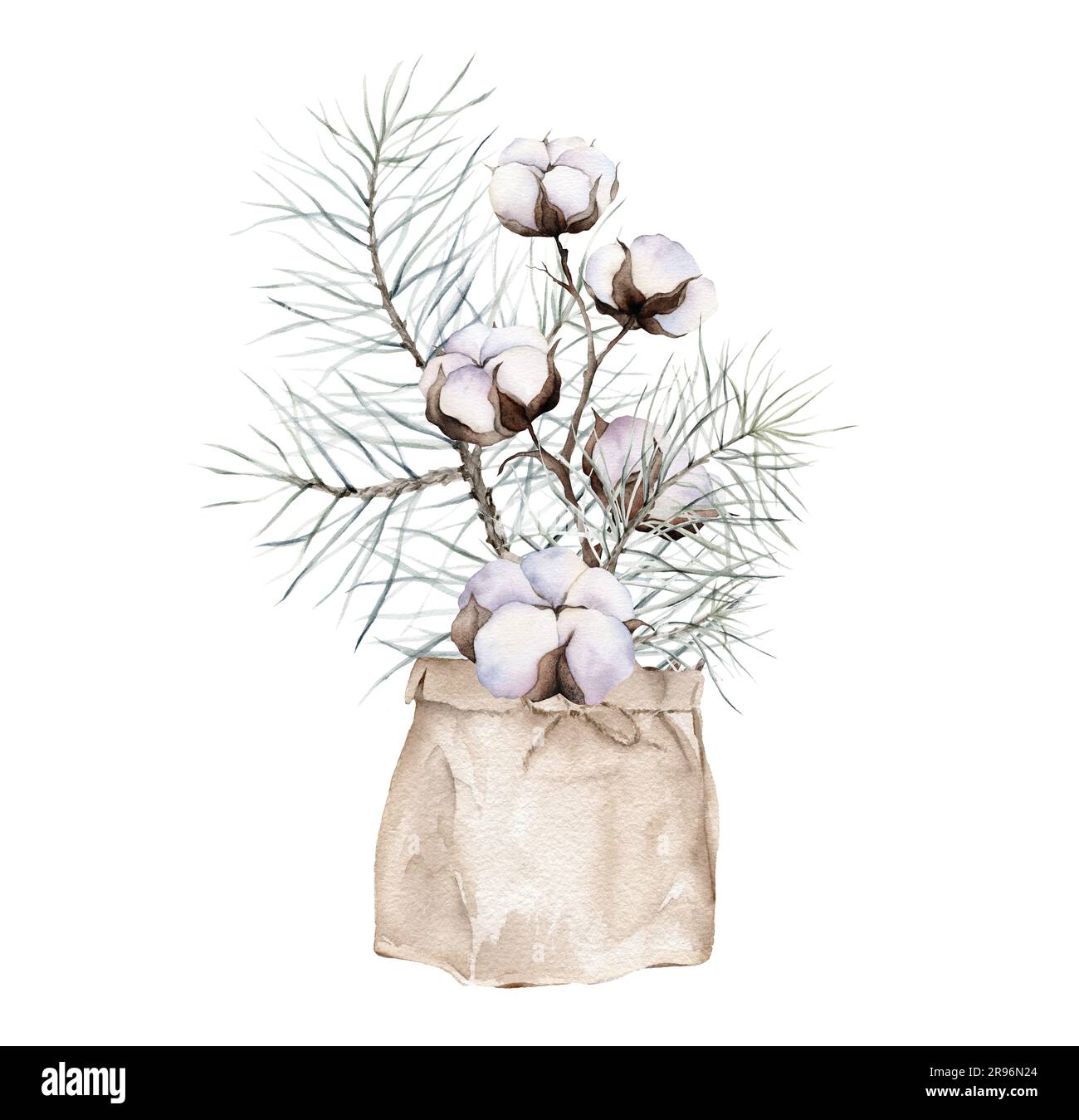 Pine branch wiht the cones, cotton watercolor isolated image on white ...