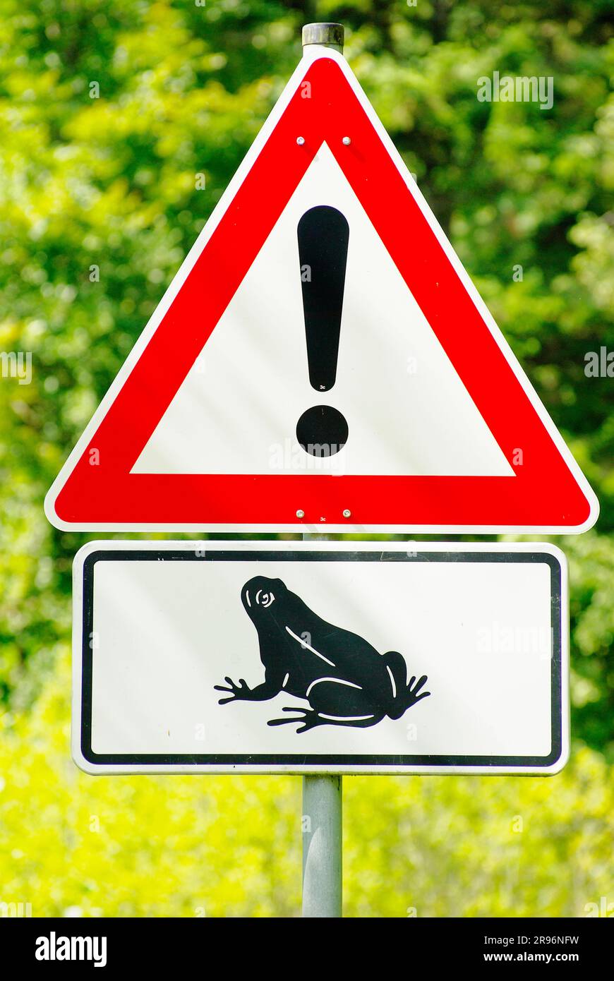 Sign 'Caution frogs', toad migration, traffic sign, warning sign