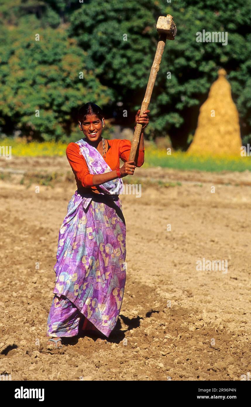 Indian woman working in the field, Indian family, Corbett, India Stock ...