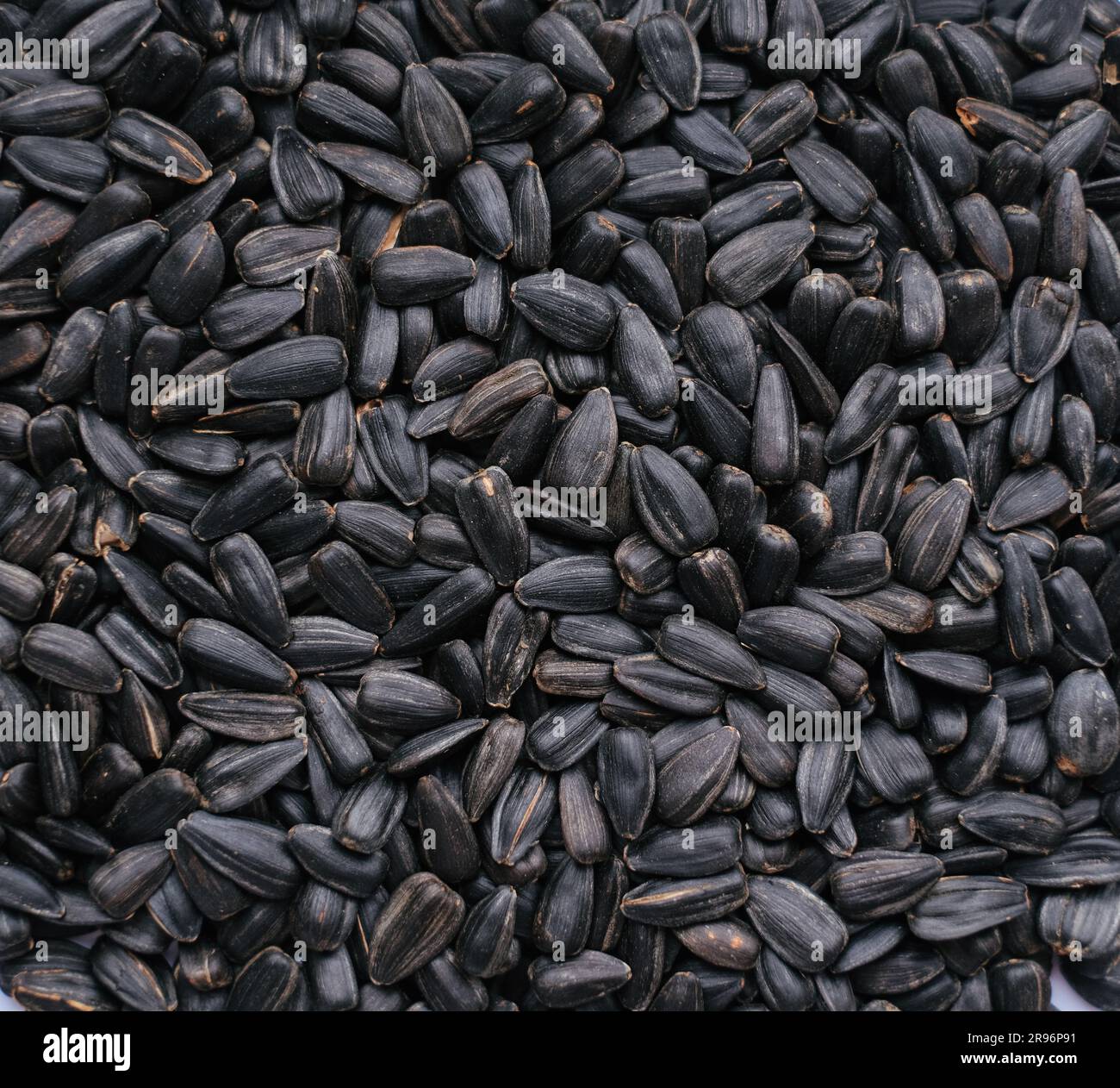 Background from sunflower seeds, close-up Stock Photo - Alamy