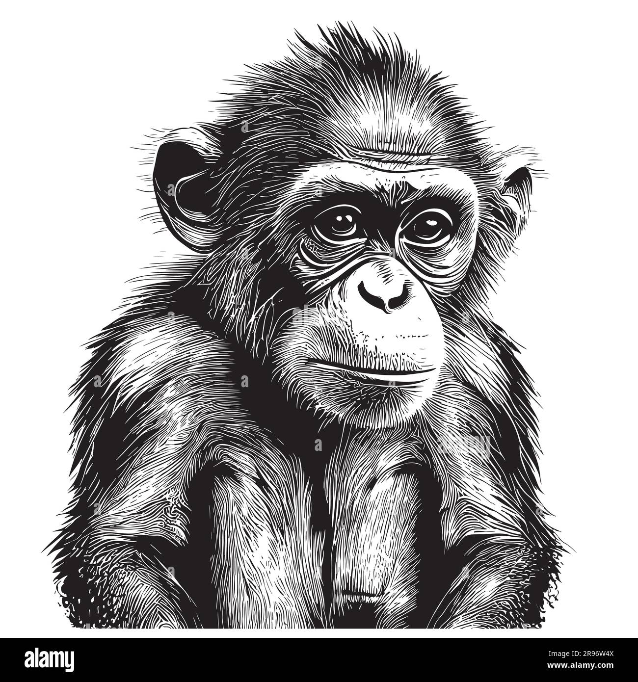 Smart Monkey sketch hand drawn in doodle style illustration Stock Vector