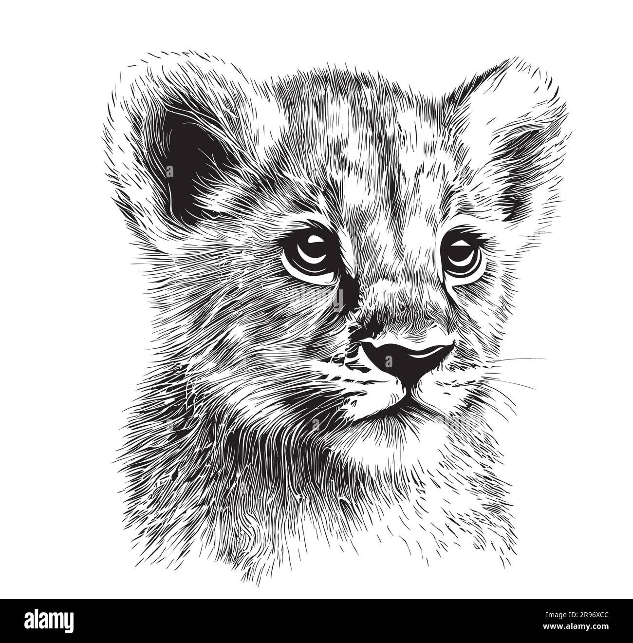 Learn How to Draw a Lion Cub Zoo Animals Step by Step  Drawing Tutorials