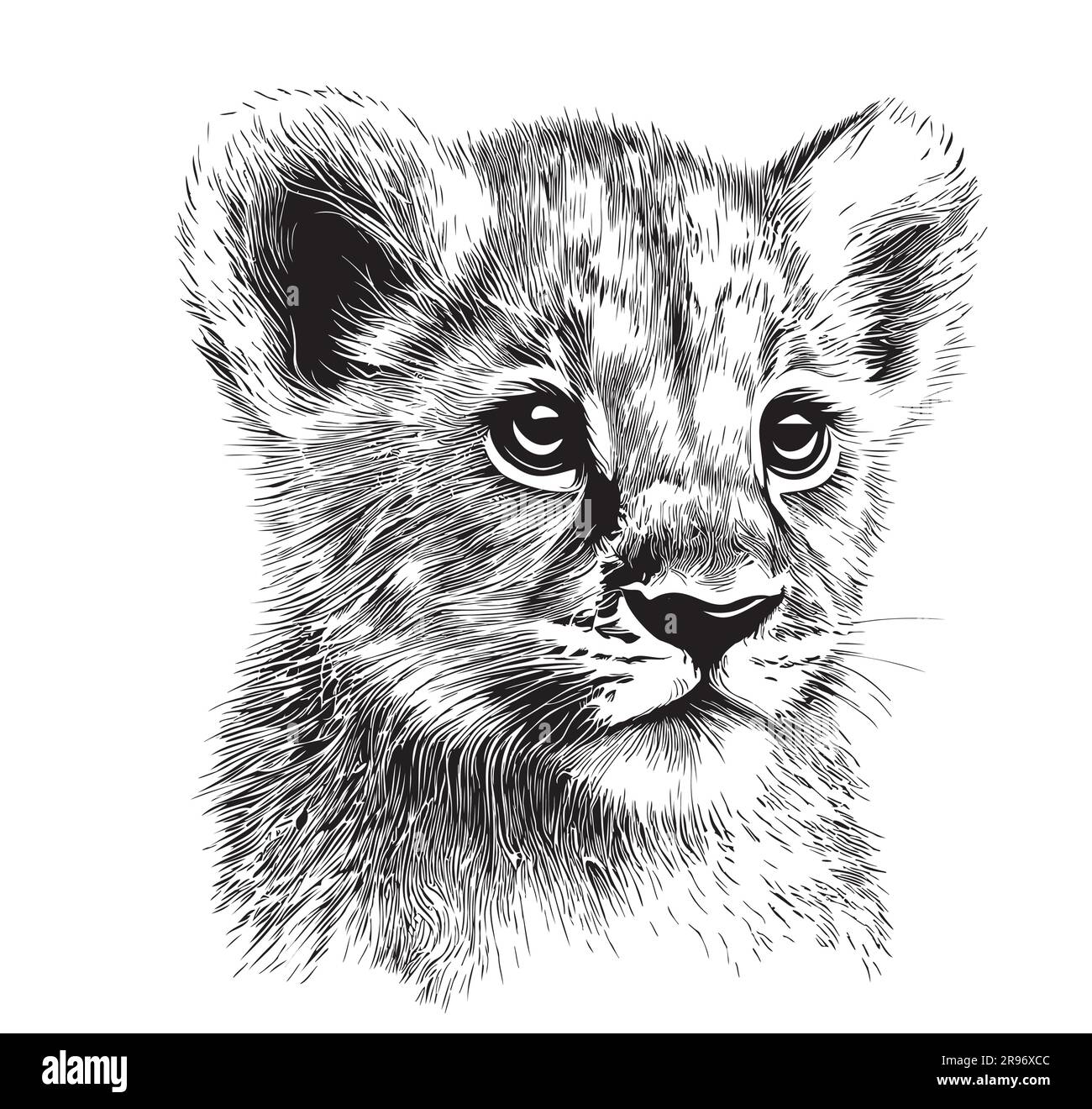 Lion And Cub Drawing Lion And Cub Drawing