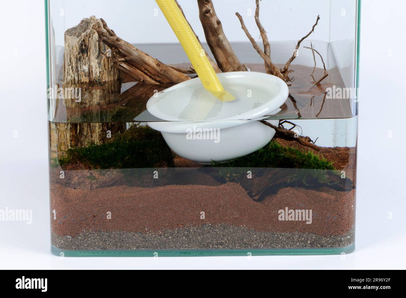 Nano aquarium, filling water Stock Photo