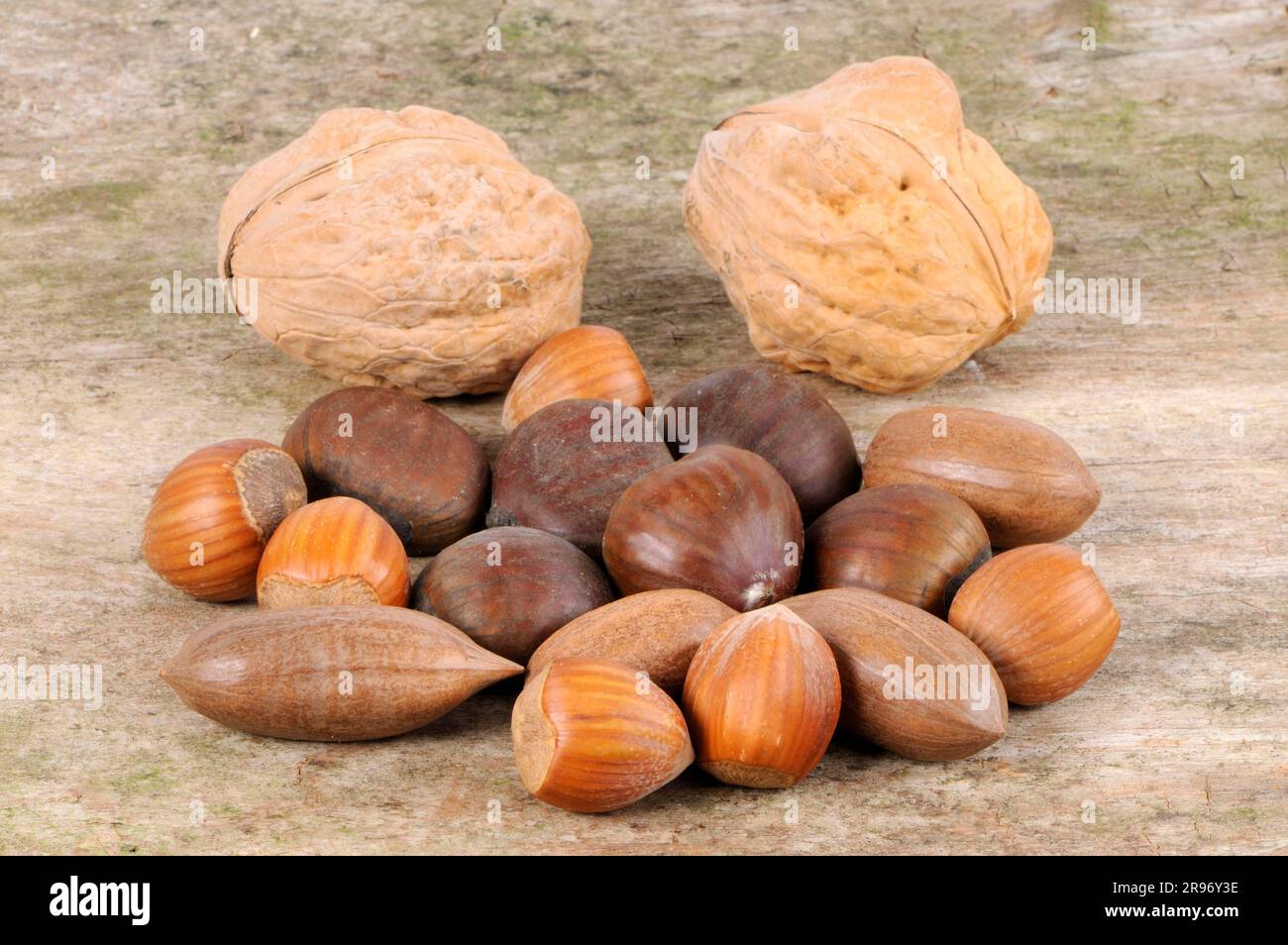 Hazelnuts, pecans, chestnuts and walnuts (Corylus avellana) (Juglans regia) (Carya illinoiensis), pecan nuts, chestnuts, chestnuts Sweet chestnut Stock Photo