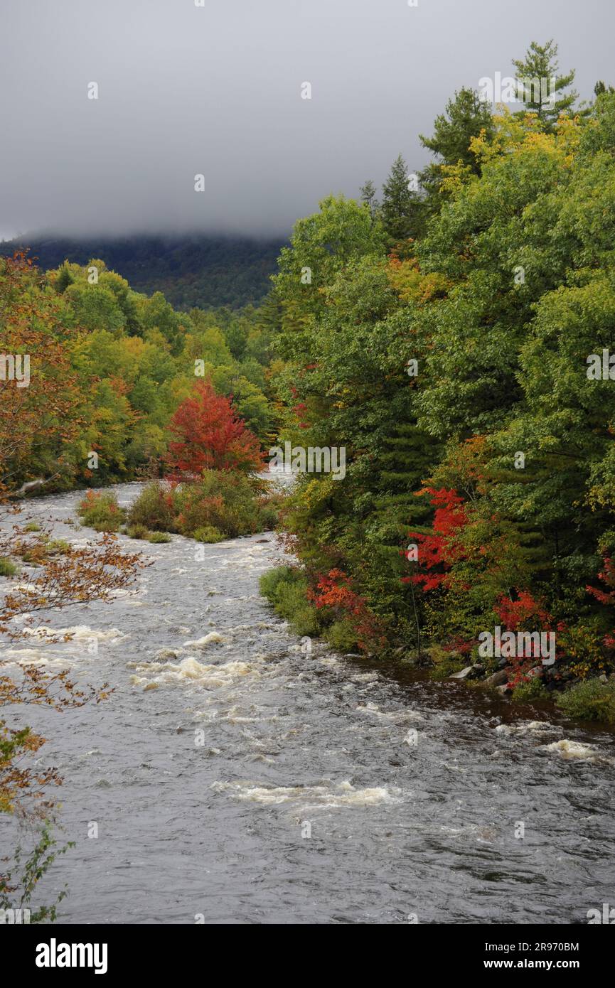 Swift River, Weisse Berge, New Hampshire, USA, Altweibersommer Stock Photo