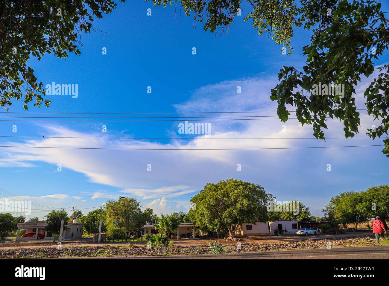 árbol de mayo hi-res stock photography and images - Alamy