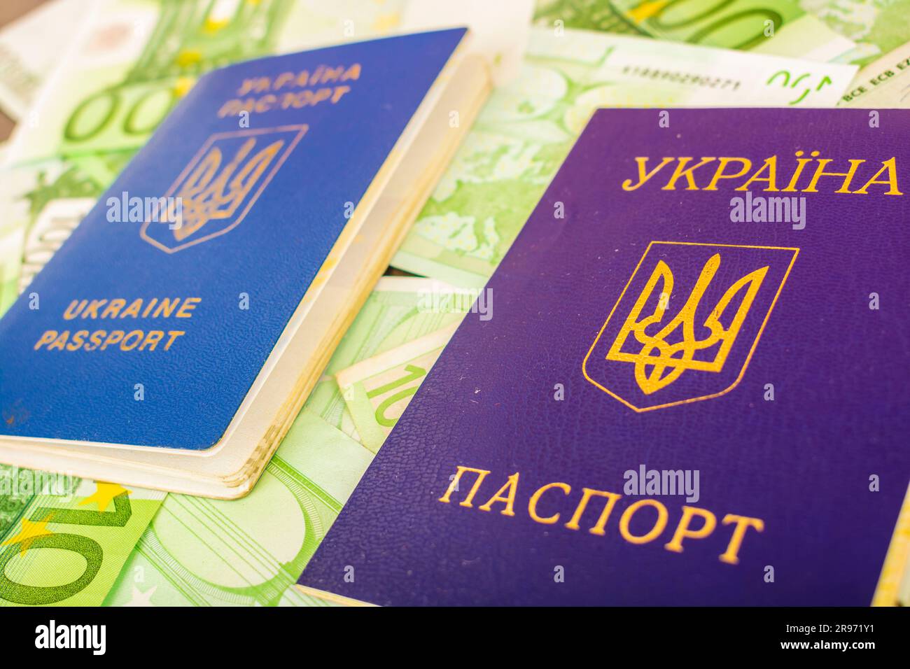 Two Ukrainian passports one is wounded by the second civil passport against the background of the euro banknotes in the face value of 100 Stock Photo