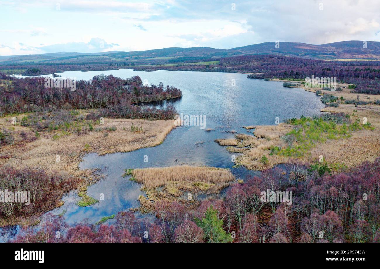 Loch Kinord, Muir of Dinnet, Grampian, Scotland. Spring. Looking S.E. from site of Battle of Culblean 1335 Stock Photo
