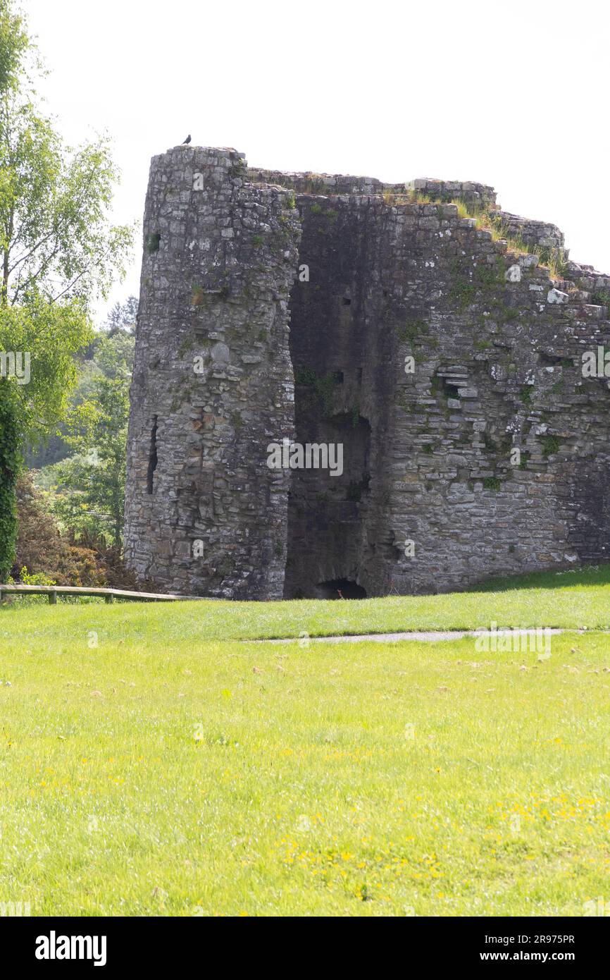 Trim Caste Trim, Co. Meath, Ireland Stock Photo Alamy