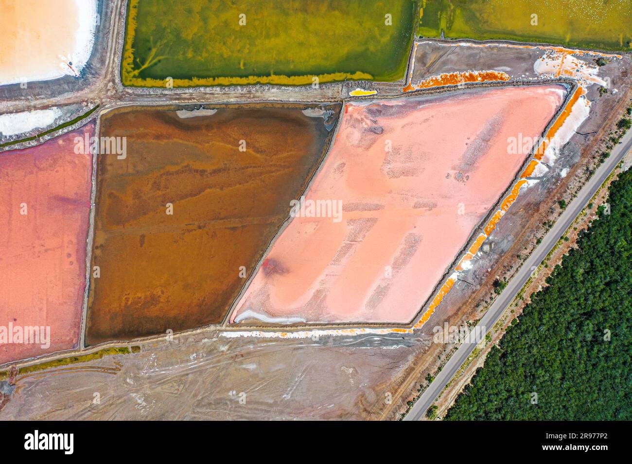 Aerial view of saltwater ponds in the process of desalination for salt  extraction in the community of Yavaros, municipality of Huatabampo, Sonora,  Mexico. Pink color, geometric figures, hydraulic or salt solution  extraction,