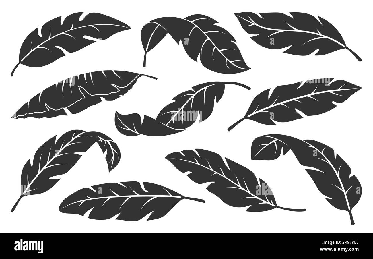 Tropical leaves black silhouette set. Minimalistic abstract exotic plant branches isolated on white background. Trendy botanical engraving stamp. Banana palm leaf sketch graphic floral elements Stock Vector