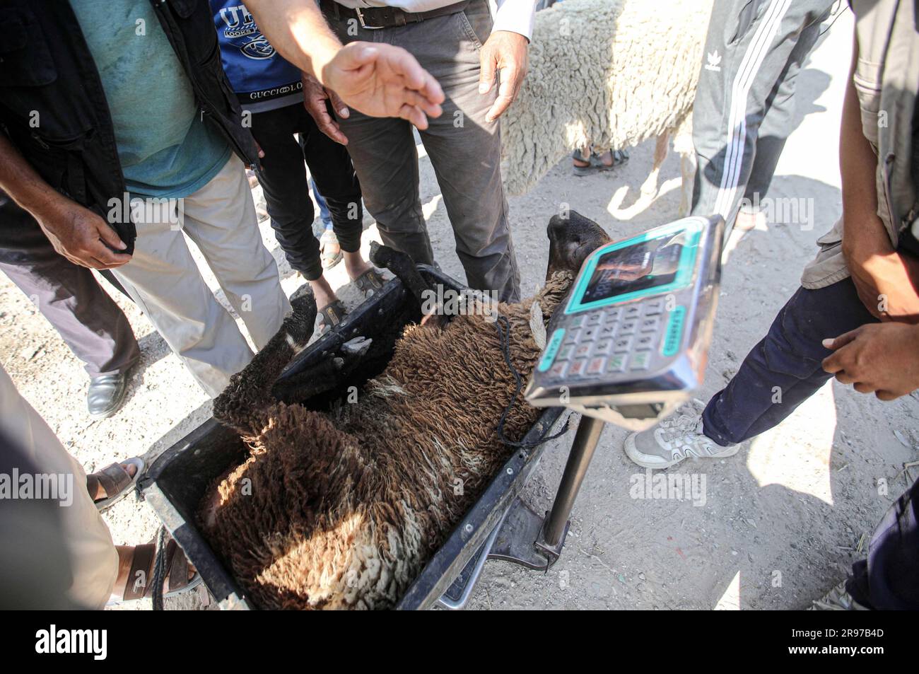 June 22, 2023, Gaza City, The Gaza Strip, Palestine Palestinian