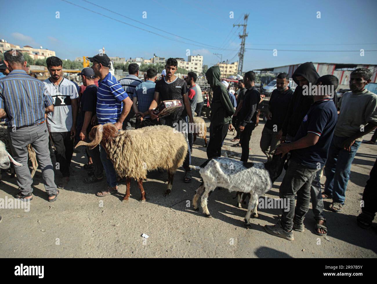June 22, 2023, Gaza City, The Gaza Strip, Palestine Palestinian