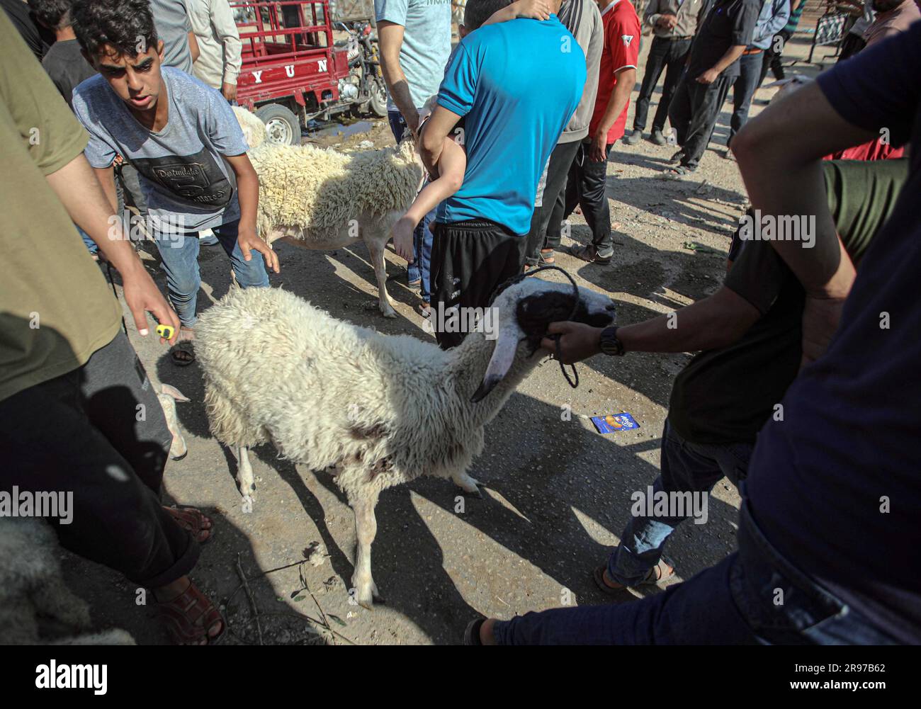 June 22, 2023, Gaza City, The Gaza Strip, Palestine Palestinian