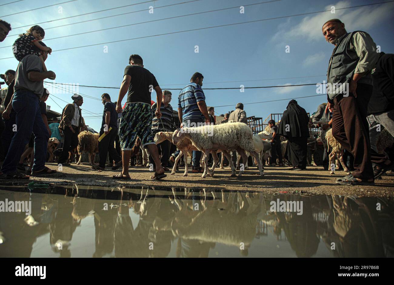June 22, 2023, Gaza City, The Gaza Strip, Palestine Palestinian