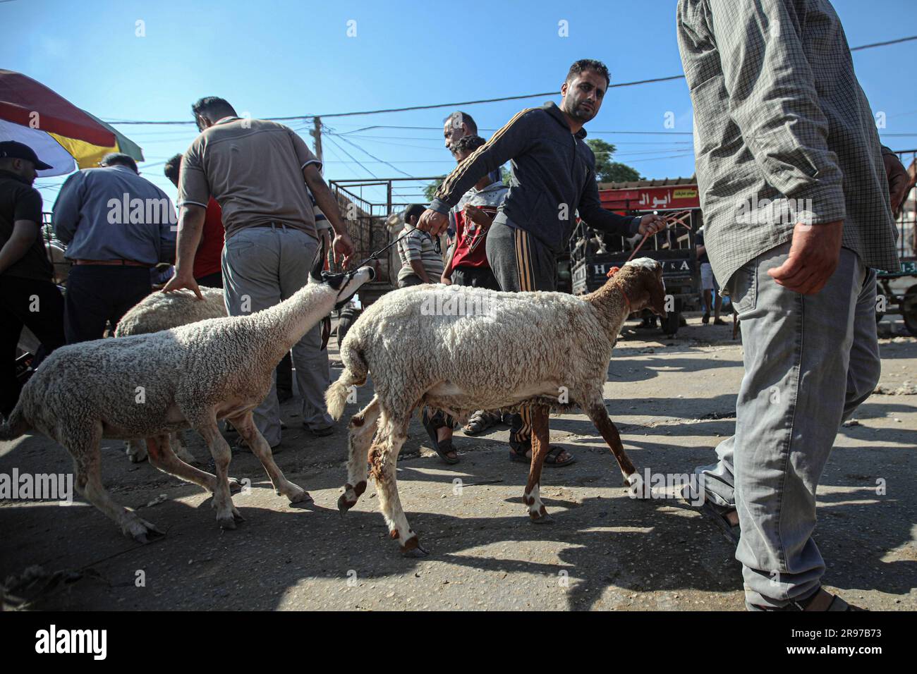 June 22, 2023, Gaza City, The Gaza Strip, Palestine Palestinian