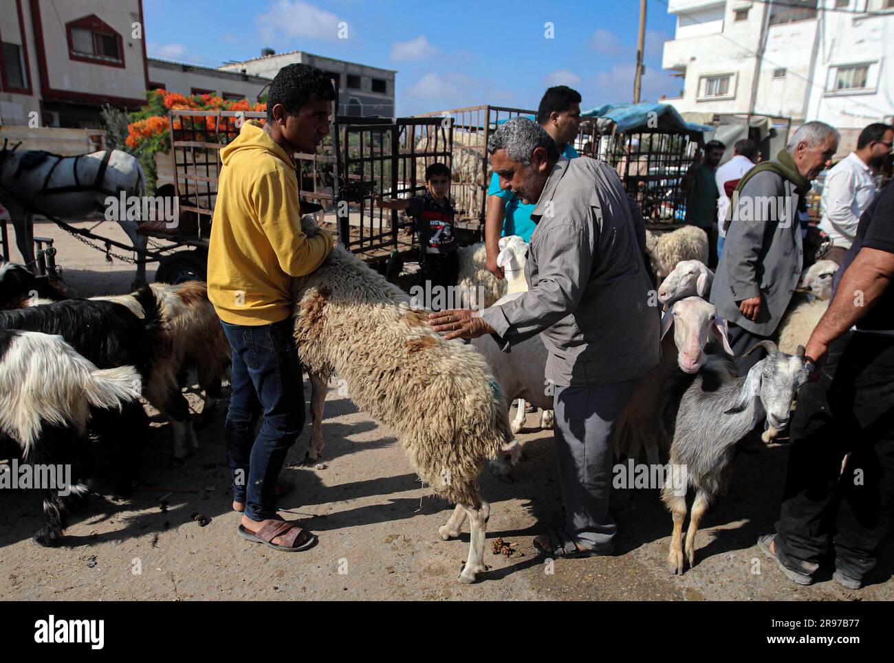 June 22, 2023, Gaza City, The Gaza Strip, Palestine Palestinian